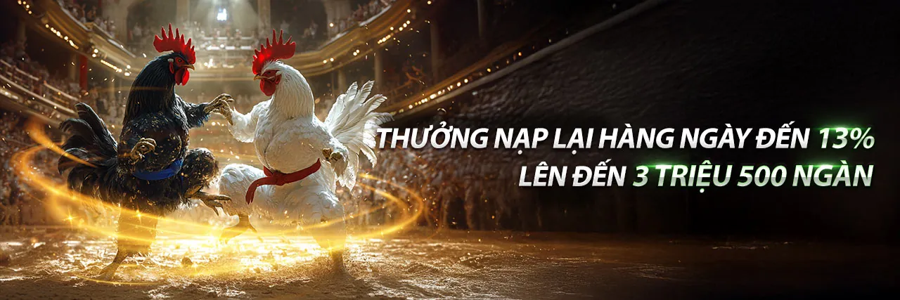 Blog kim99 chính thức: Tin tức & Hướng dẫn cá cược