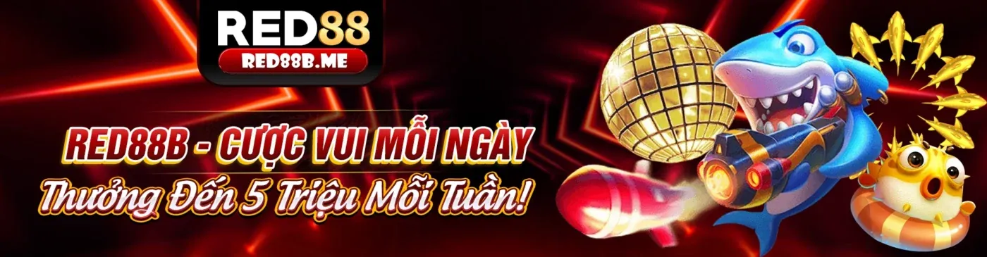 Các chương trình khuyến mãi độc quyền tại Kim99 Chính Thức