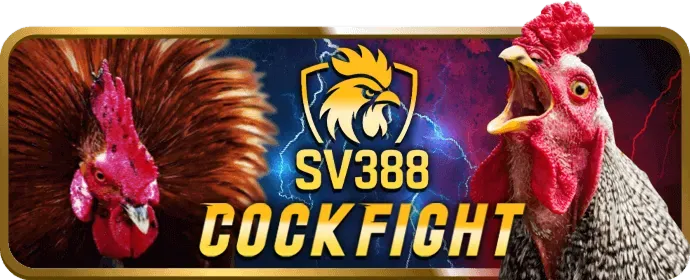 Thăng cấp VIP